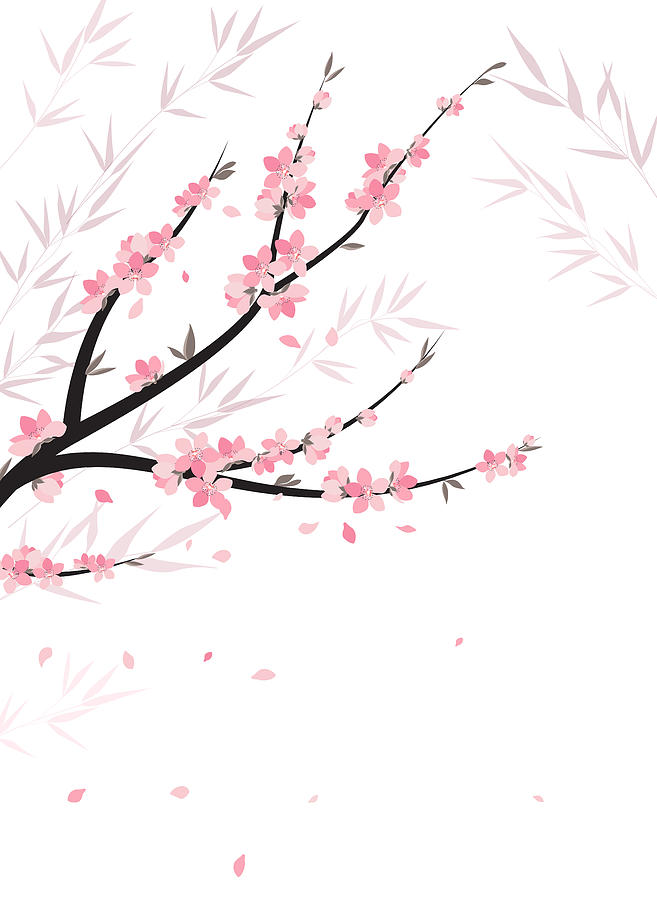 657x900 Branches With Flowers Drawing