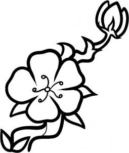 255x302 Cute Hand Drawn Isolated Sakura For Cherry