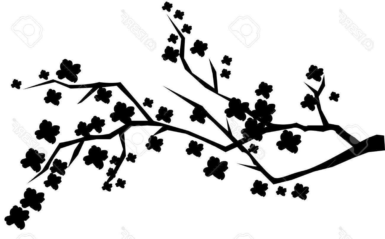1300x807 Collection Of 'cherry Blossom Tree Silhouette' Download More Than