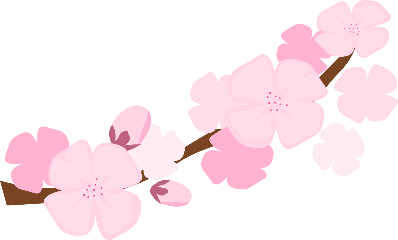 1384x834 Drawing Wallpapers Cherry Blossom Transparent Png Clipart Free