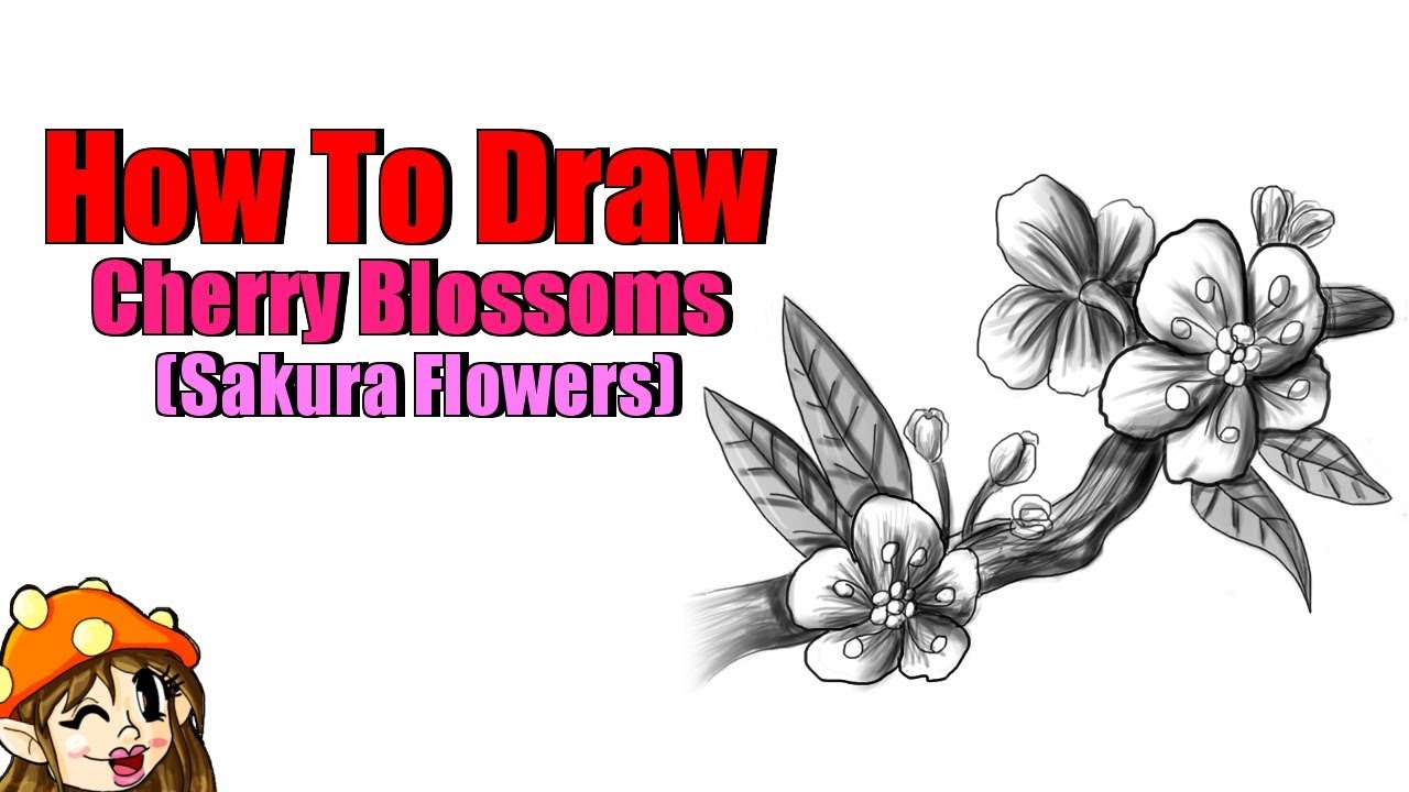 1280x720 How To Draw Cherry Blossoms, Tutorial!