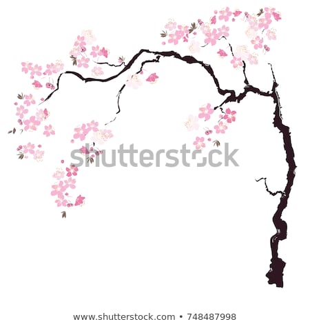 450x470 Huge Collection Of 'cherry Blossom Tree Branch Drawing' Download