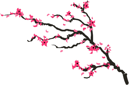 438x289 Cherry Blossom Gif Download Free Clipart With A Transparent Background