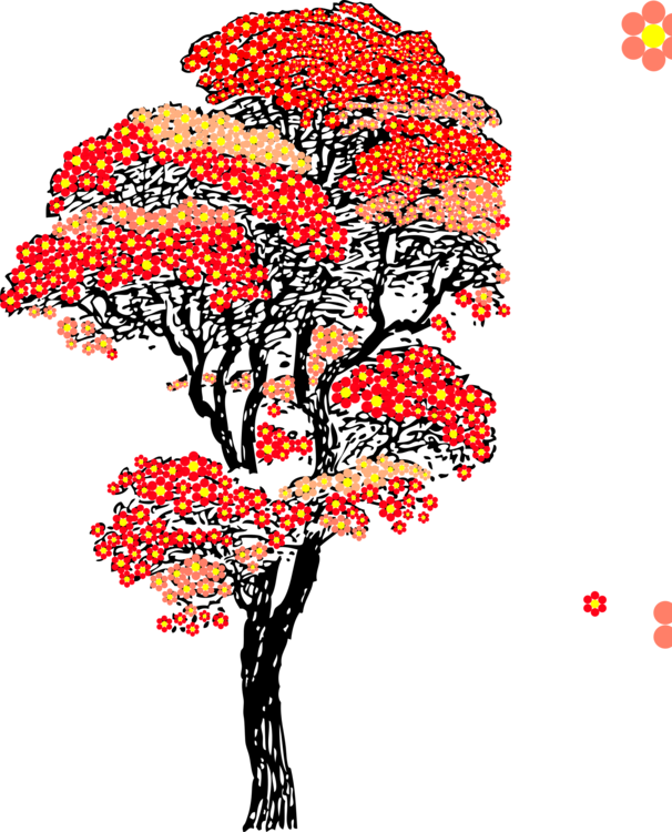 606x750 Drawing Branches Sakura Tree Transparent Png Clipart Free