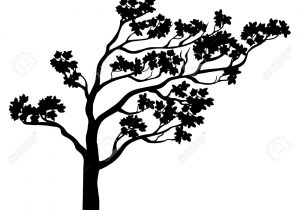 300x210 Flowering Tree Drawing Cherry Blossom Tree Drawing Peach