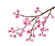 235x196 Best Cherry Blossom Vector Clipart Png Images Clipart Images