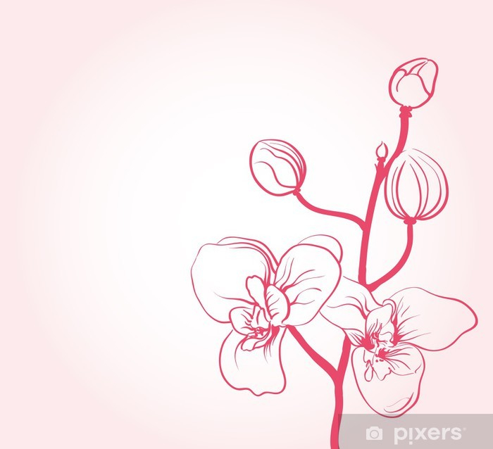 700x638 Unique Free Cartoon Cherry Blossom Tree, Download Free Clip Art
