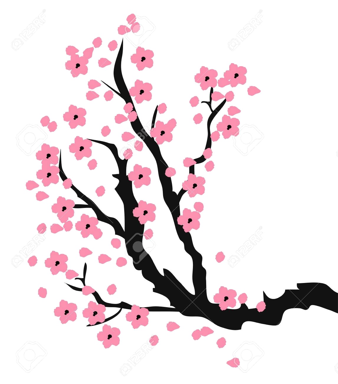 1146x1300 Cherry Blossom Tree Drawing Outline Stock Vectors Vector Clip Art