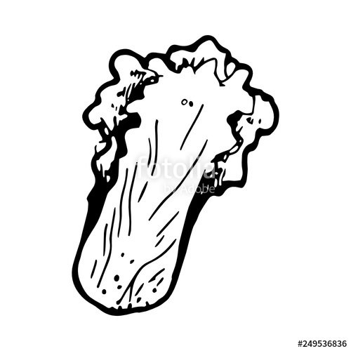 500x500 Salad Icon Hand Drawn Stock Image And Royalty Free Vector