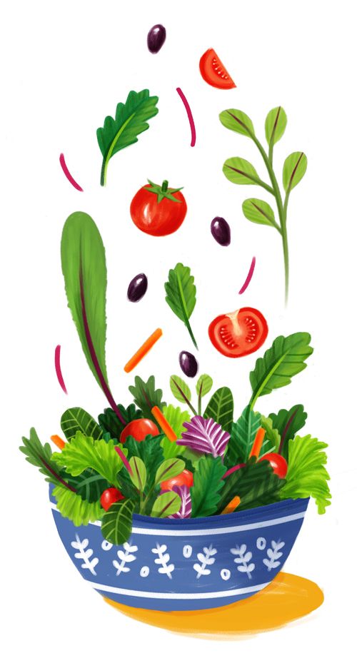 500x922 tossed salad painting food illustrations in illustration