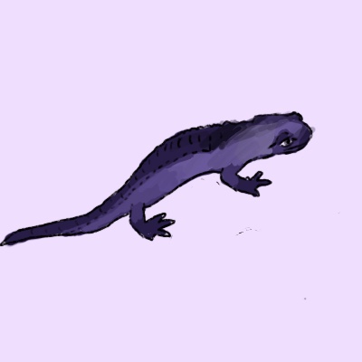 400x400 Salamander Line Webtoon