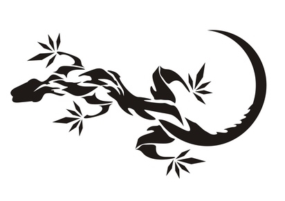 412x291 Salamander Patterns