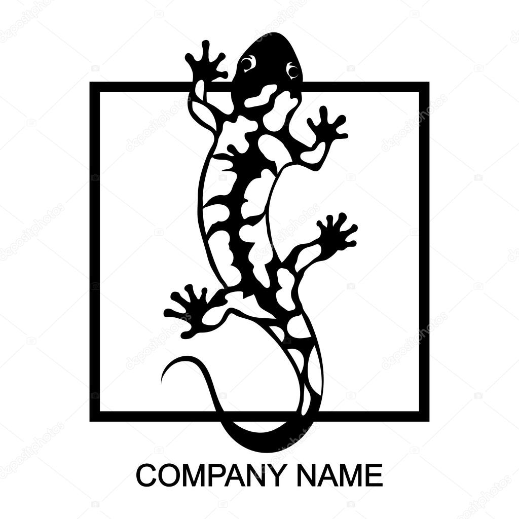 1024x1024 Salamander Drawing Free Download