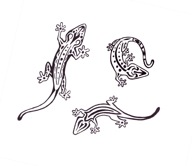 800x693 Salamander Drawing Geco For Free Download