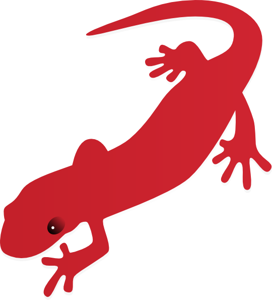 540x595 Cute Salamander Drawing