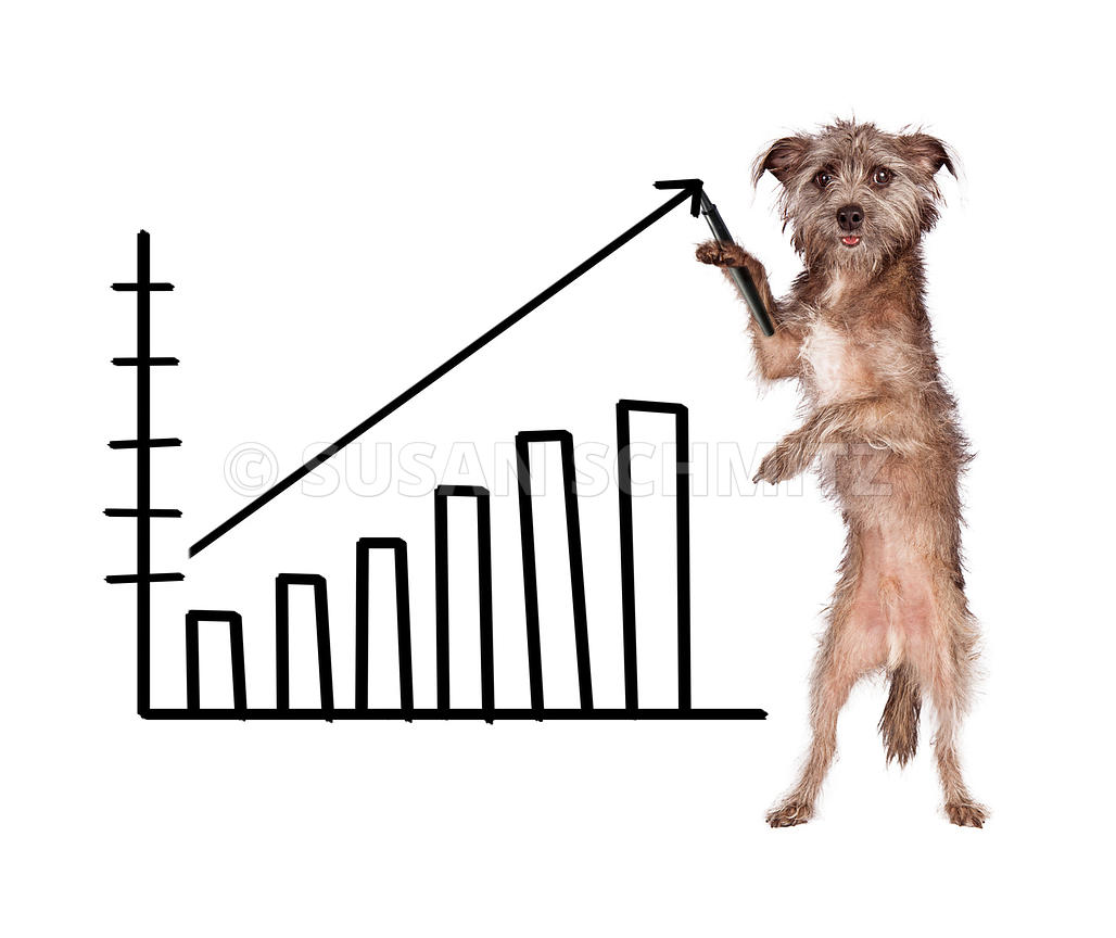 1028x864 Susan Schmitz Photography Dog Drawing Increasing Sales Chart