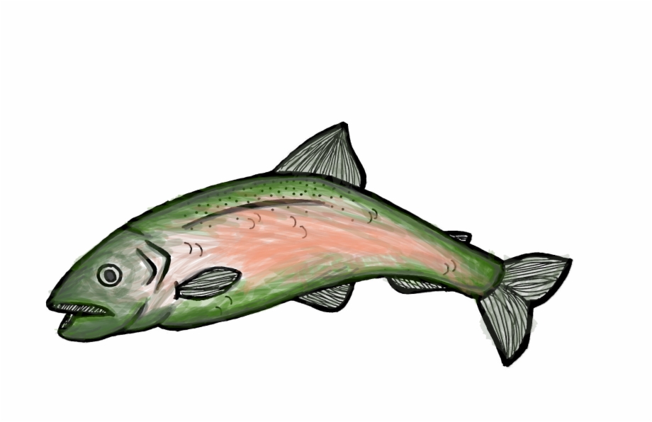 920x596 bellingham port commissioner michael shepard wrote