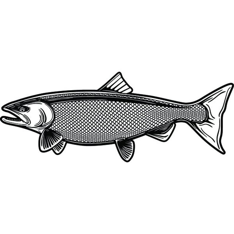 794x794 salmon fish king fishing angling freshwater lake wildlife etsy