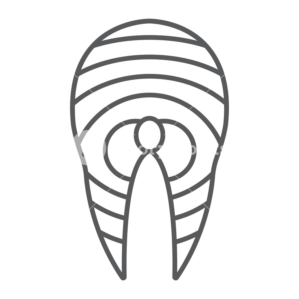 1000x1000 Salmon Thin Line Icon, Fish And Food, Steak Sign, Vector Graphics