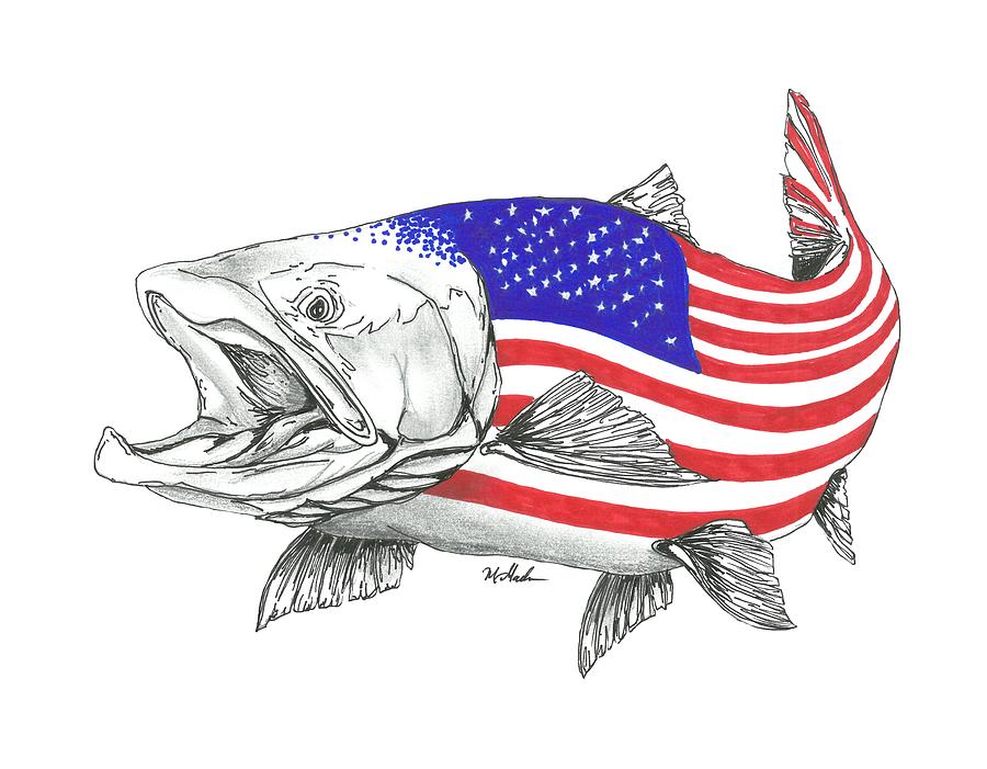 900x701 American Steel Head Salmon Drawing