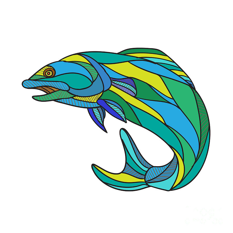 900x900 Atlantic Salmon Jumping Drawing Digital Art