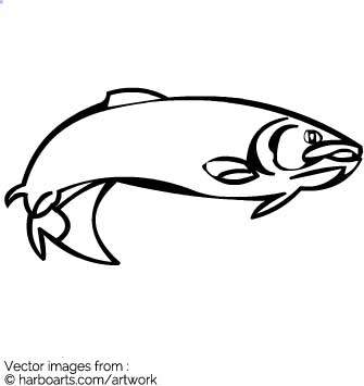 335x355 Download Salmon Outline
