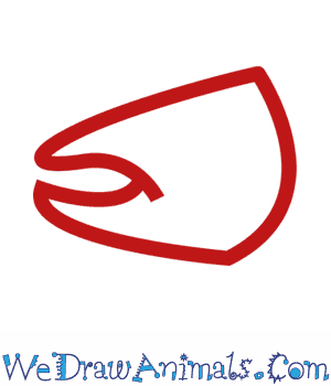 300x350 How To Draw An Atlantic Salmon