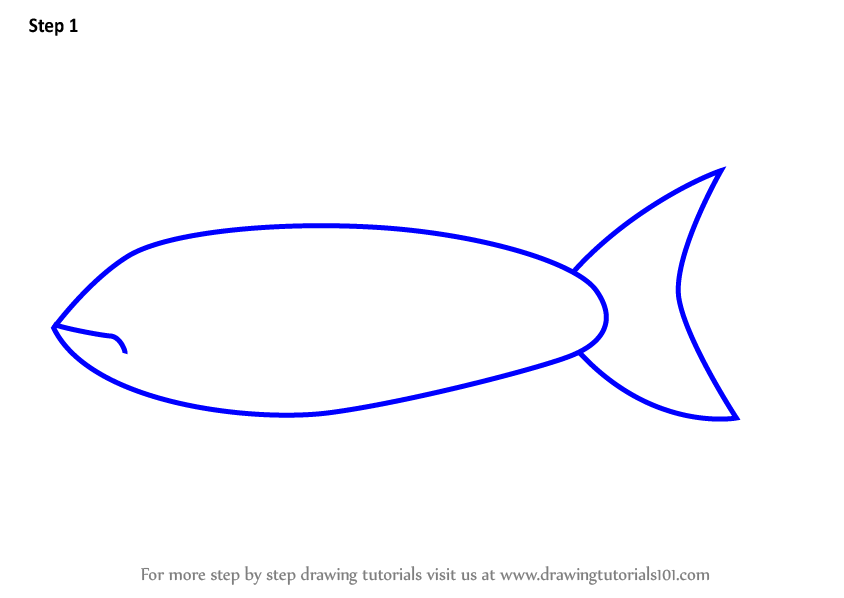 844x598 Learn How To Draw A Salmon Fish For Kids