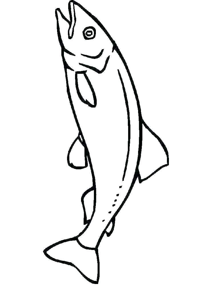 Collection of Salmon clipart | Free download best Salmon clipart on ...