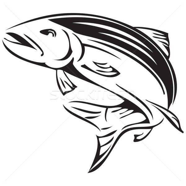 600x600 Symbol Salmon Vector Illustration Constantine Pankin