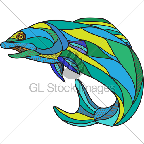 500x500 Atlantic Salmon Jumping Drawing Gl Stock Images