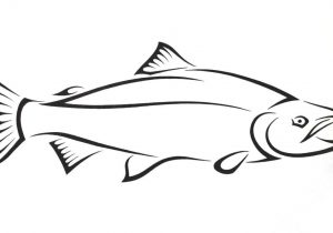 300x210 Fish Drawing Easy Easy Fish Drawings