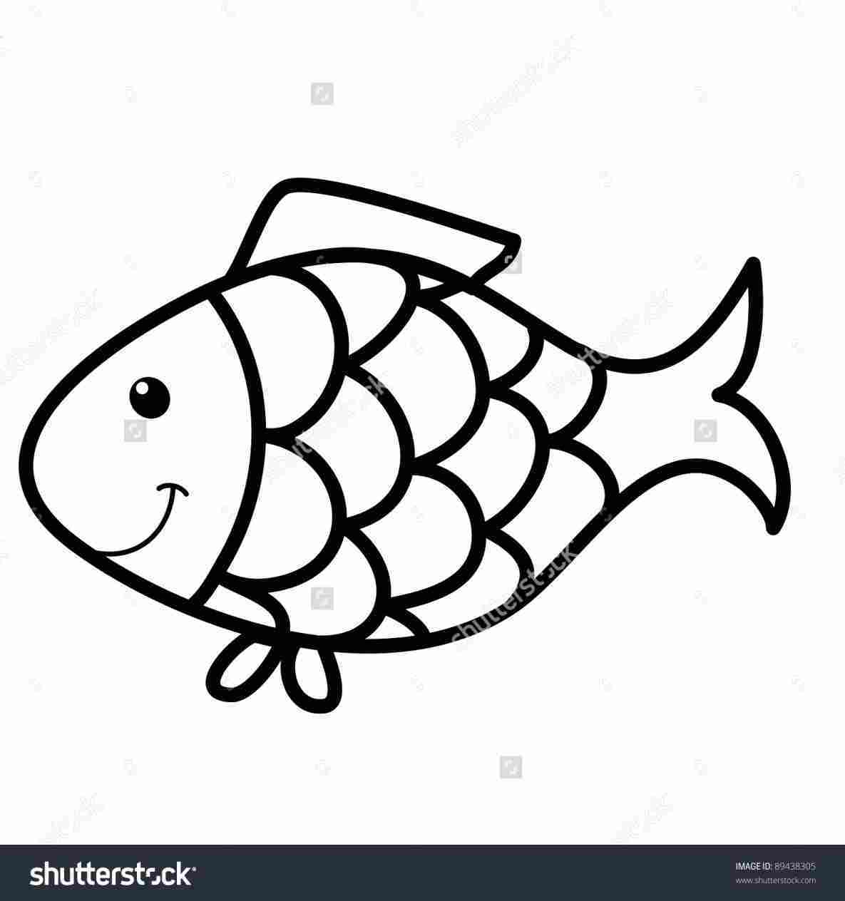 1185x1264 Of Salmon High Quality Free Cliparts Rhclipartxtrascom How To Draw