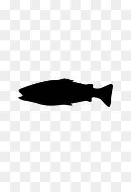 260x380 Salmon Black And White Png