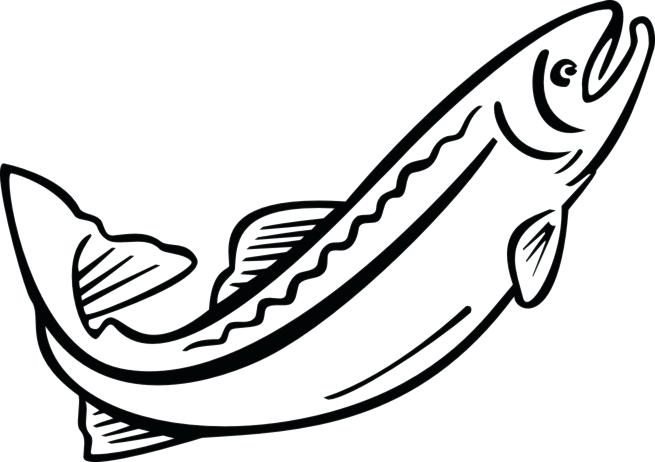 655x462 Salmon Coloring Pages N Book Also For Kids Fish And Free