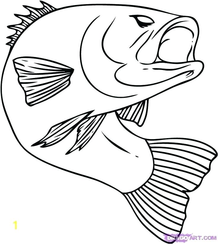 736x823 salmon coloring pages related post sockeye salmon coloring pages