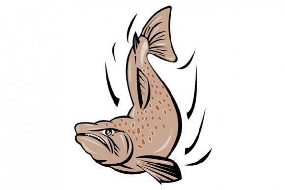 580x387 Salmon Fish Jumping Retro