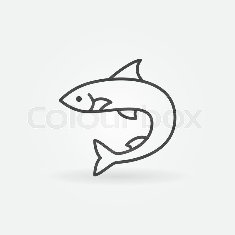 800x800 Salmon Fish Outline Vector Concept Stock Vector Colourbox