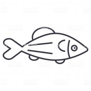 300x300 Set Of Salmon Fish Vector