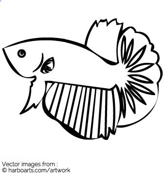 335x355 Salmon Clipart Goldfish