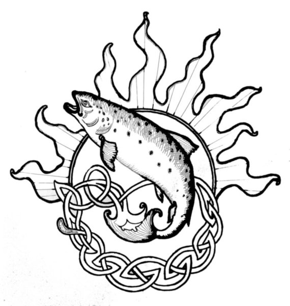 570x600 Salmon Of Knowledge Drawing