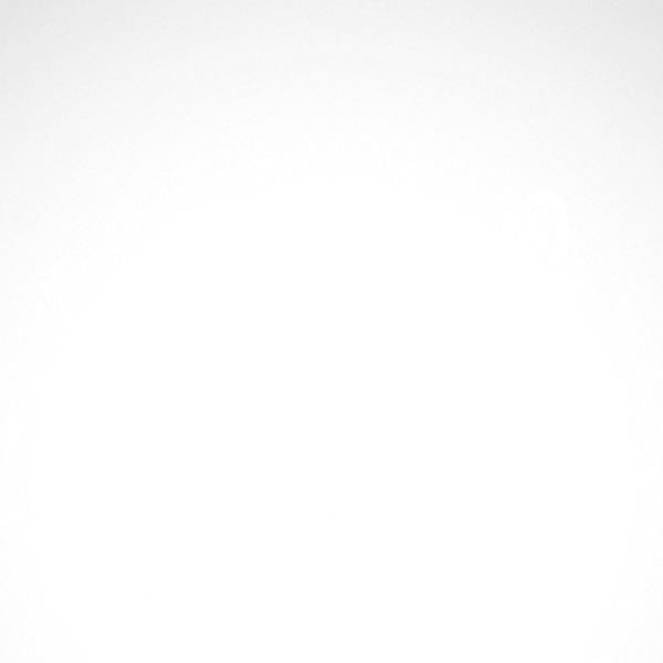 600x600 Simple Color Vinyl Salmon Fish Stickers Factory