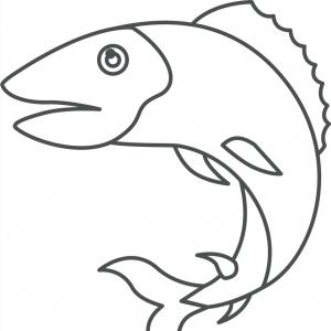 300x300 Stock Illustration Salmon Trout Fish Spiral Pattern Soidergi