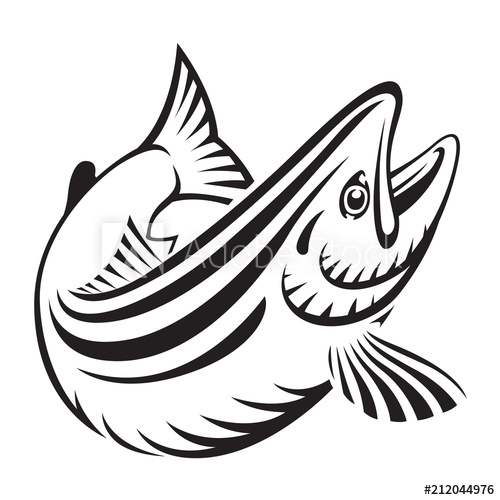 500x500 Graphic Salmon Fish Vector