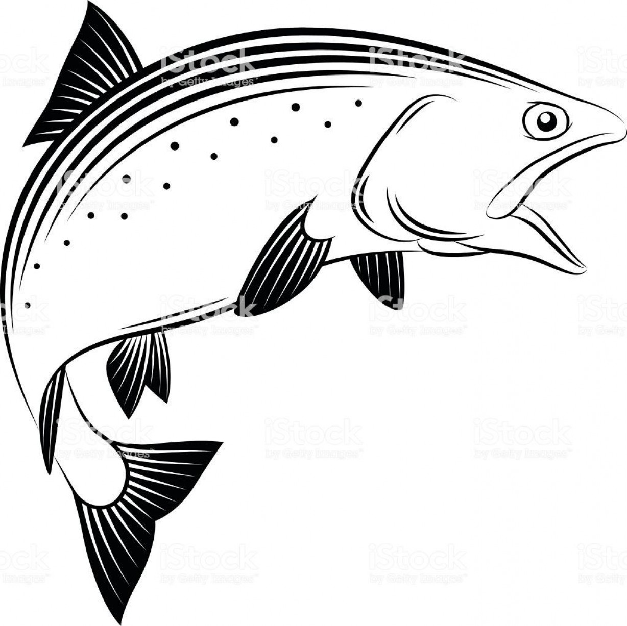 1228x1227 Best Free Drawings Salmon Vector Cdr Shopatcloth