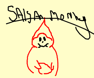 300x250 Salsa, The Monkey