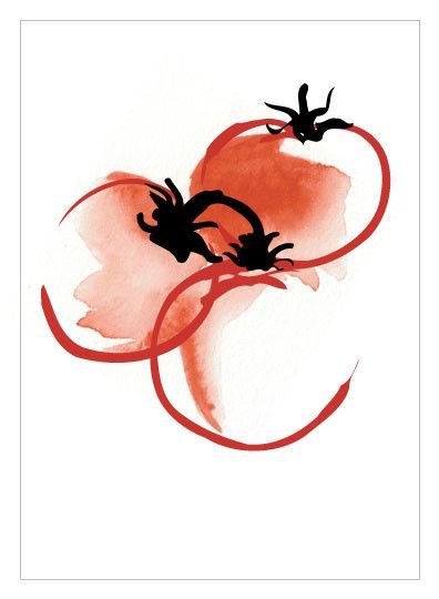 396x540 Tomatoes Color Me Tomato