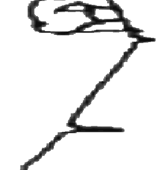 326x351 Treasure Hunting Stories