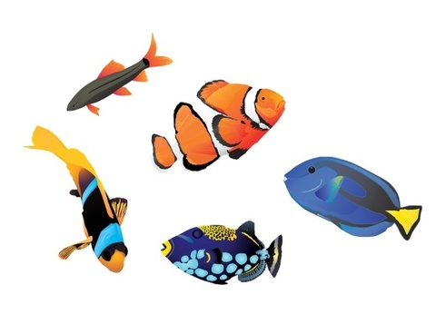 491x368 Fish Free Vector Download