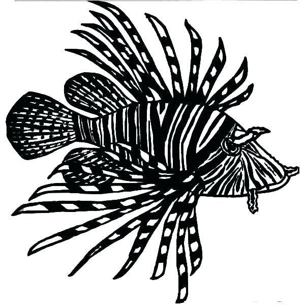 600x600 lionfish coloring